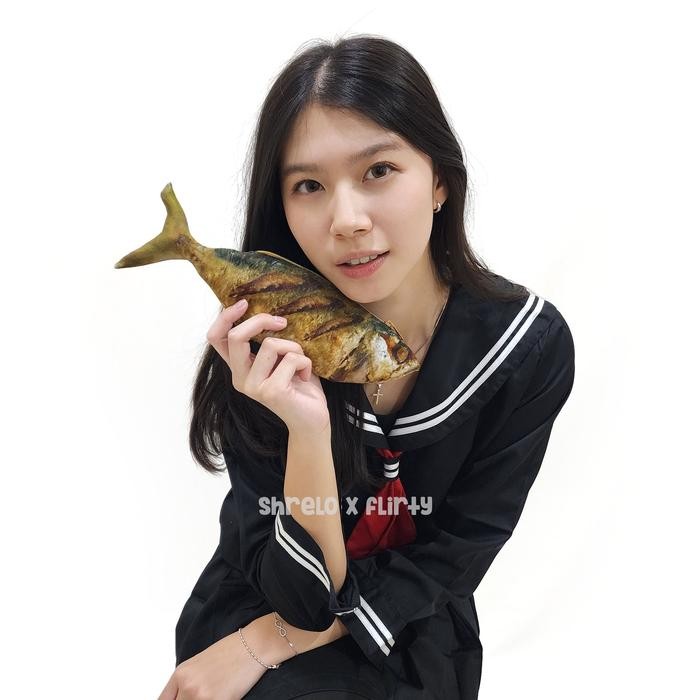 

Deli Stationary - Tempat Pensil Shrelo Ikan Kembung Goreng Viral Tiktok Back To School Sekolah