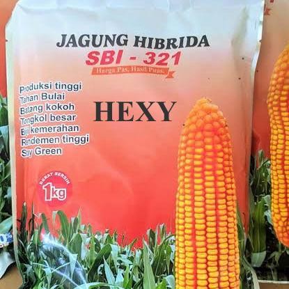 Bibit Jagung Hibrida HEXY Super Original