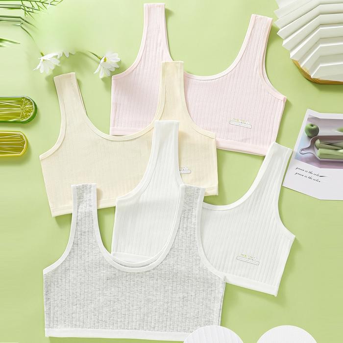 Mini Set Putri Bh Pelajar Anak Sd Miniset Anak Cewek Import Miniset Anak Remaja Perempuan Fashion