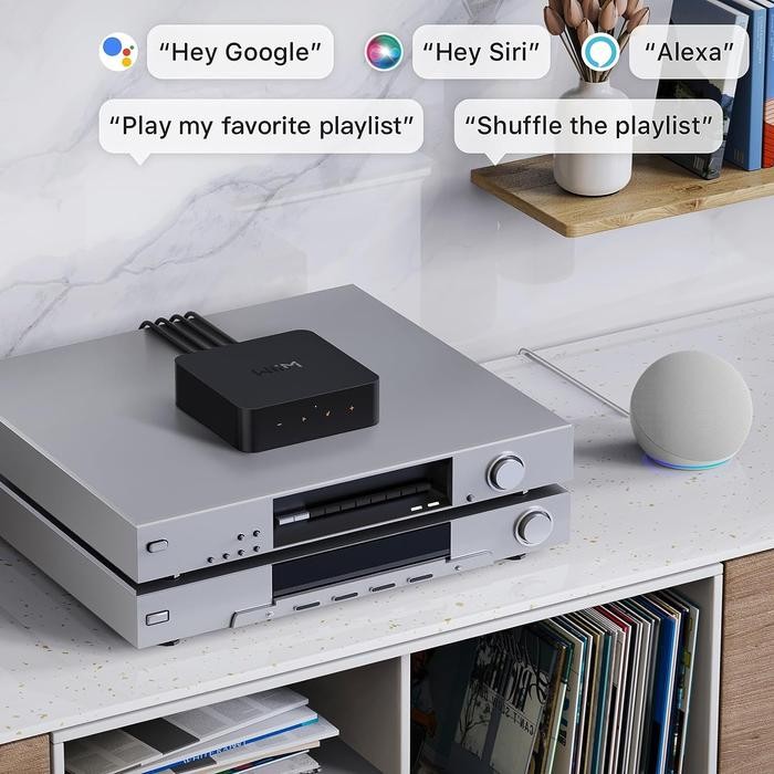 WiiM Pro Plus AirPlay 2 Receiver Chromecast Audio Multiroom Streamer Premium AKM DAC Voice Remote