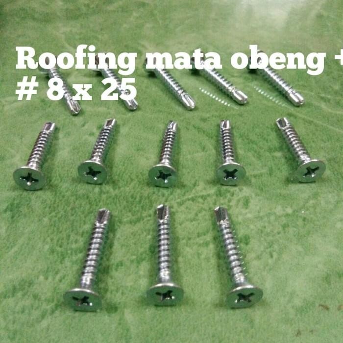 BAUT ROOFING SCREW BAJA RINGAN # 8 x 19 (kepala mata obeng + ) SDS