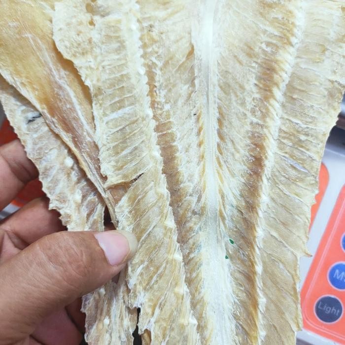 

Ikan Pari Tipis Medan 100Gr Best Seller