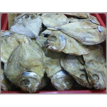 

Ikan Asin Petek Berkualitas - 500 Gram Jabodetabek Best Seller