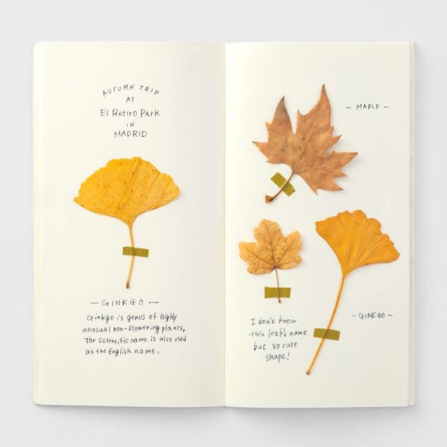 

Travelers Notebook Refill 025 Cream Blank Regular Size Traveler'S