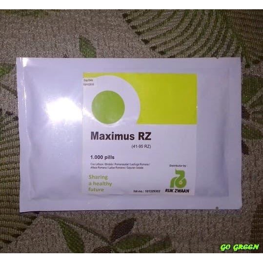 100 SEED - BENIH MAXIMUS RZ ROMAINE RIJK ZWAAN REPACK