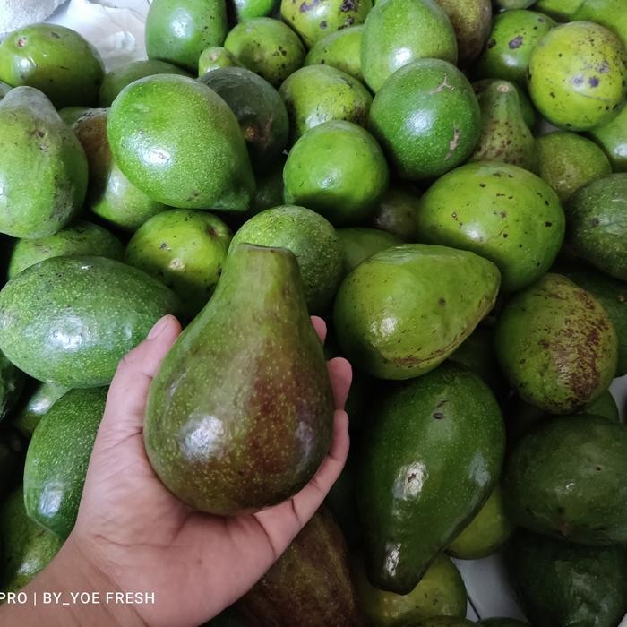 

TERMURAH Alpukat mentega 2-3-4 READY STOCK