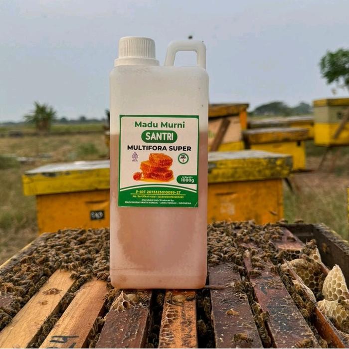 

MADU MULTIFLORA SUPER 1KG - KANDUNGAN NUTRISI LENGKAP UNTUK KESEHATAN TUBUH - HONEY