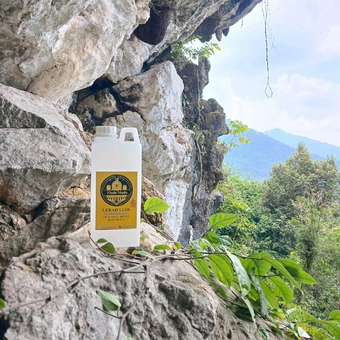 

1 KG MADU LIAR DITEBING BATU CADAS NEKTAR MULTIFLORA PASTI ASLI PASTI MURNI ORGANIK ALAMI HUTAN