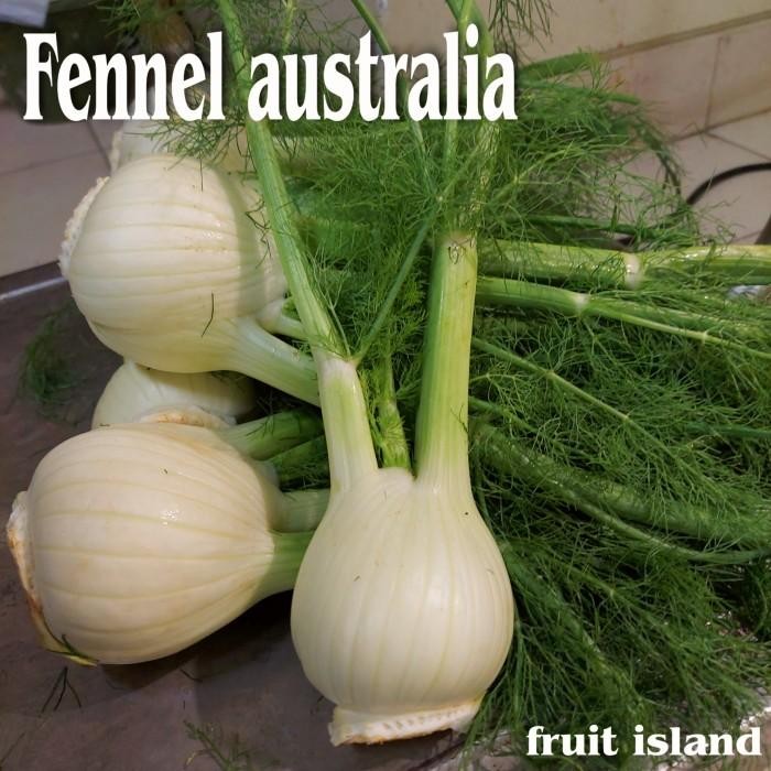 

Fennel Australia fresh 1kg