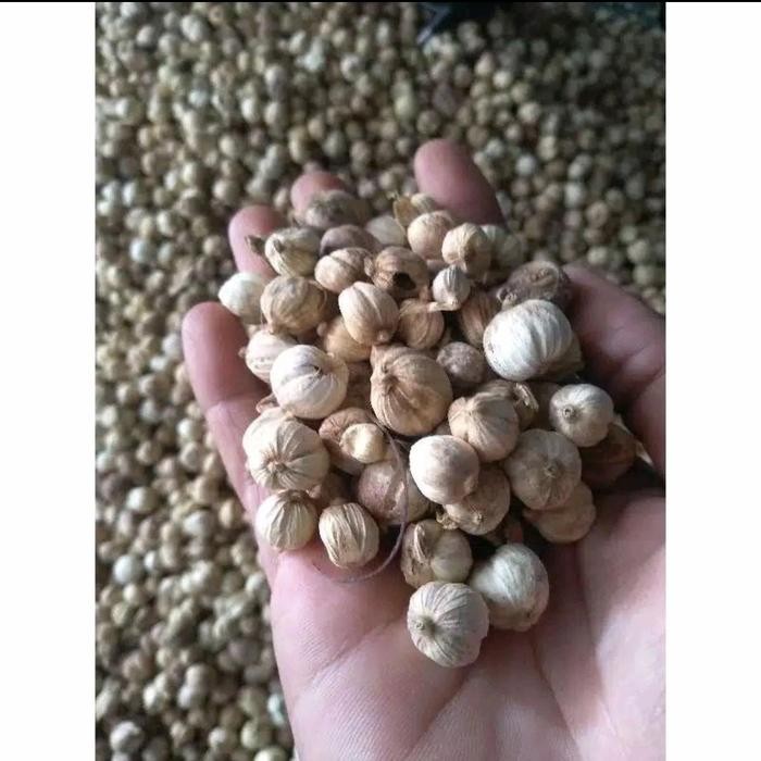 

1 kg Kapulaga/Kapolaga Original Premium Quality Tanpa pemutih
