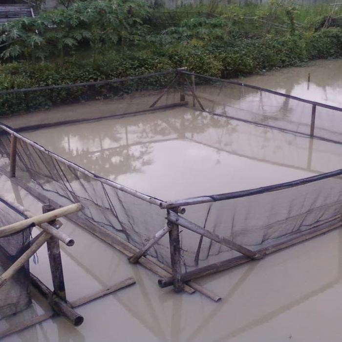 Waring Ikan__benang double anti geser_waring ikan