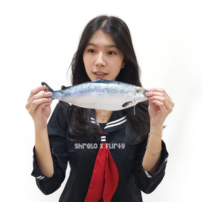 

New Tempat Pensil Ikan Salmon Shrelo untuk yang Hobby Mancing Konten Kreator Fishing dan Makan Resto