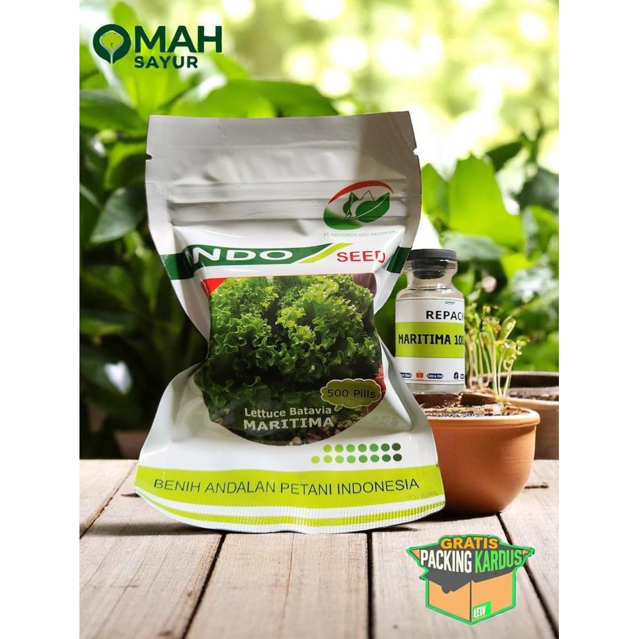 [REPACK-100 Pills] Benih Bibit Selada MARITIMA Batavia Lettuce By Indoseed