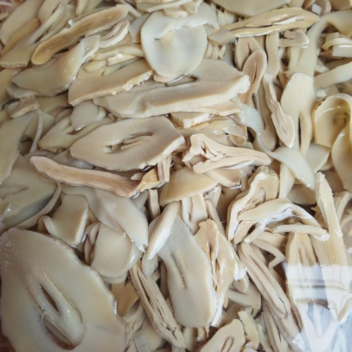 

Baru Rebung Impor Basah - Frozen & Siap Masak