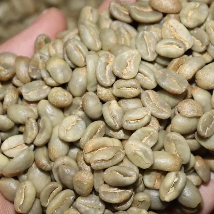 

COLOMBIA LA RESERVA SIDRA 24 GREEN BEANS