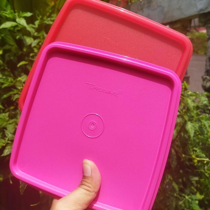 Seal Tupperware Seal Carry All Set Tutup Rantang