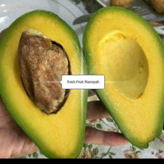 

NATURE- Buah Alpukat Mentega Per 1 Kg