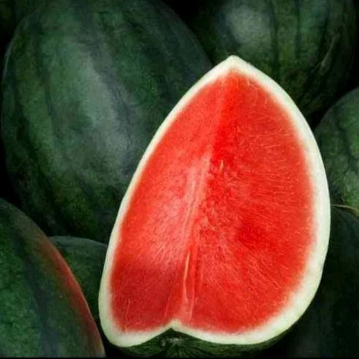 

NATURE- Buah Semangka Merah Dan Manis Jumbo