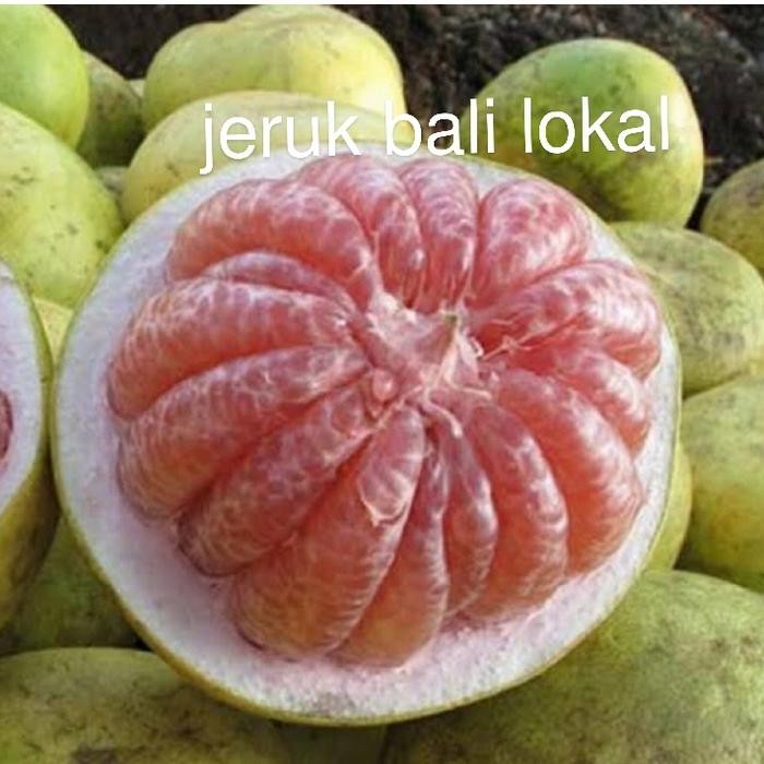 

NATURE- Buah Jeruk Bali Lokal Fresh Segar Per 1 Buah