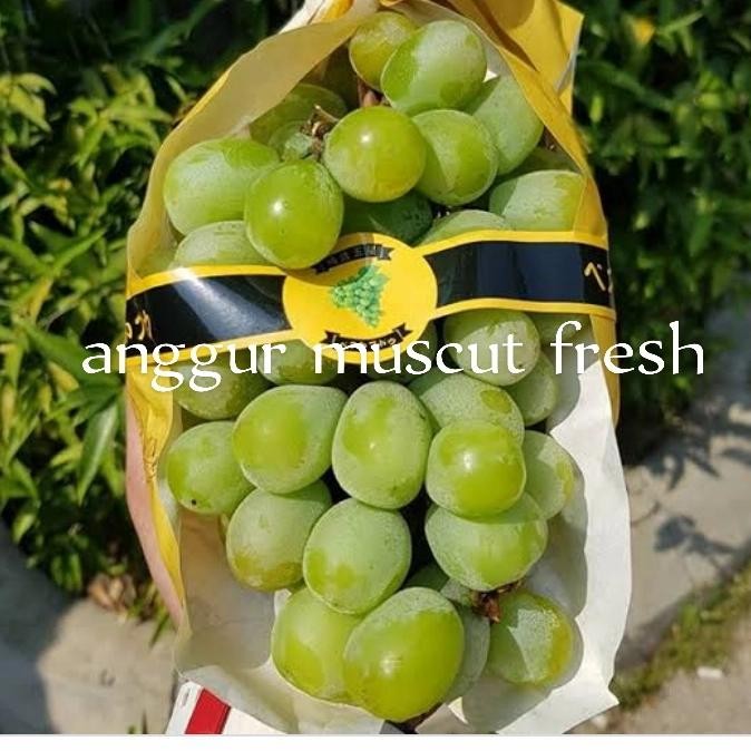 

NATURE- Anggur Hijau Jepang Muscut Fresh Manis Per Pack