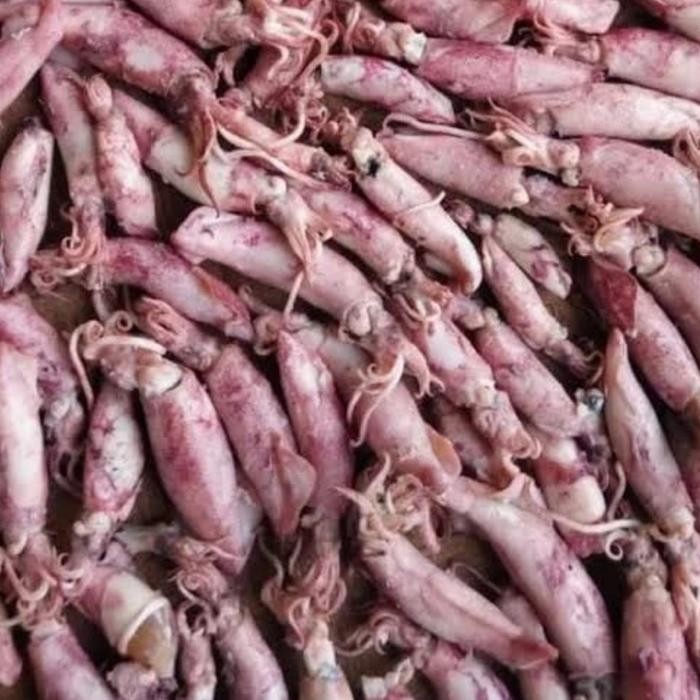 

Siap Kirim Cumi Asin Kering 500g - Cumi Kering Berkualitas