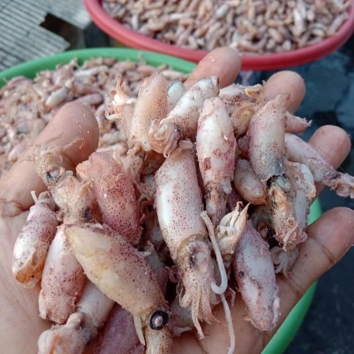 

Siap Kirim Baby Cumi Asin Kering 250 gr - Cemilan Seafood Gurih