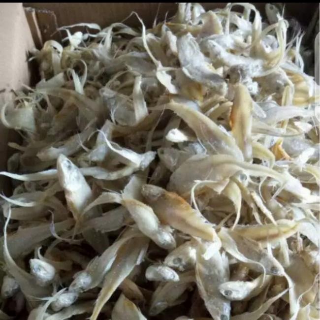 

Siap Kirim Ikan Asin Bulu Ayam Kering - Gurih & Renyah Cocok Sambal & Lauk Nasi Shopee