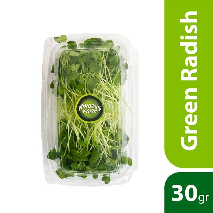 

LUXEHEALTH- Microgreens Green Radish 30 Gram - Amazing Farm