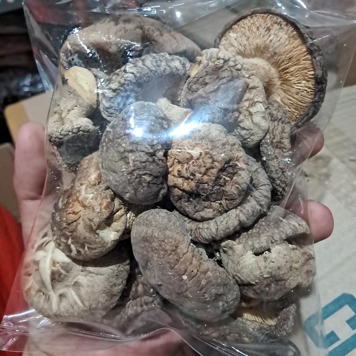 

LUXEHEALTH- Jamur Hioko Shitake 4-6Cm 100G