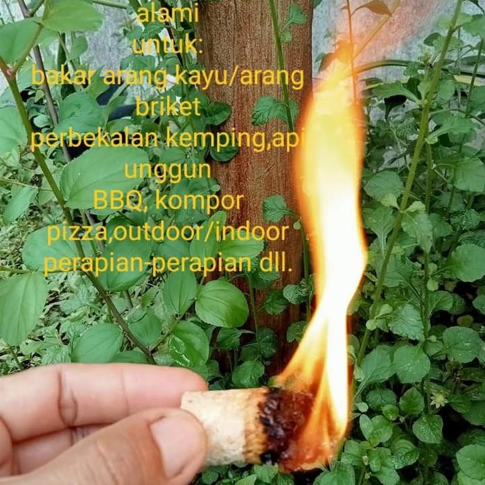 Fire Wood Starter/Pematik api kayu bakar dan BBQ