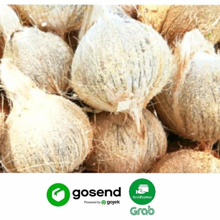 KELAPA PARUT TUA/MUDA SEGAR (1 BUTIR) - SANTAN/PEPES/RAGAM OLAHAN KUE