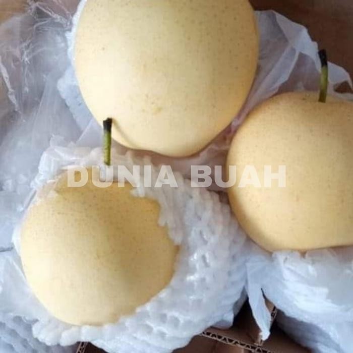 

PEAR CENTURY KEMASAN 2KG