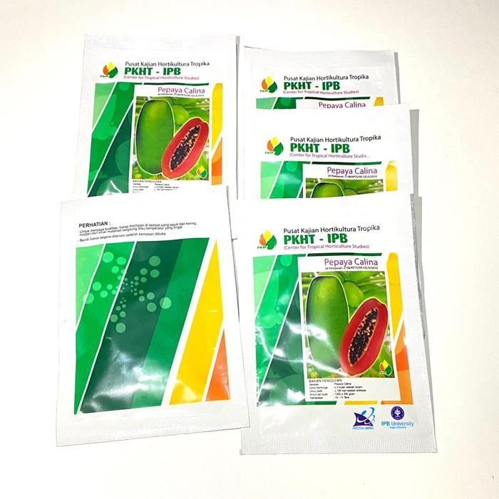 Benih Tanaman Pepaya Calina IPB PKHT IPB
