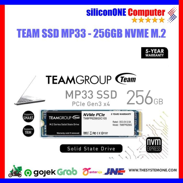 Team MP33 256GB NVME SSD M.2 M2