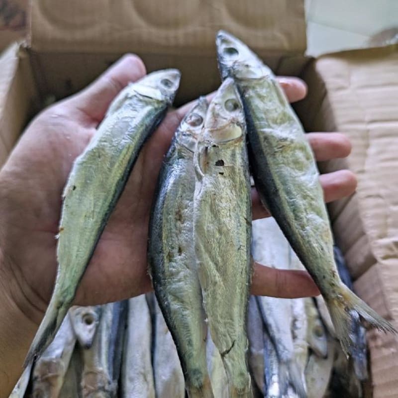 

Ikan Asin Japuh Sero 500gr
