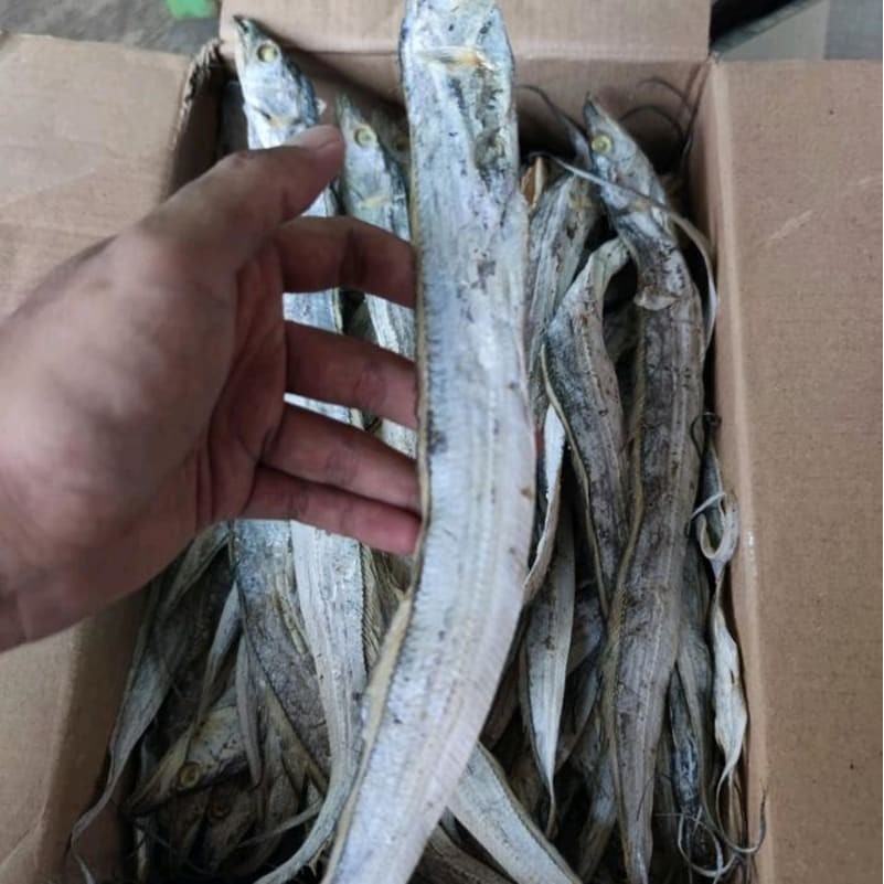 

Ikan Asin Layur Kering 1000gr