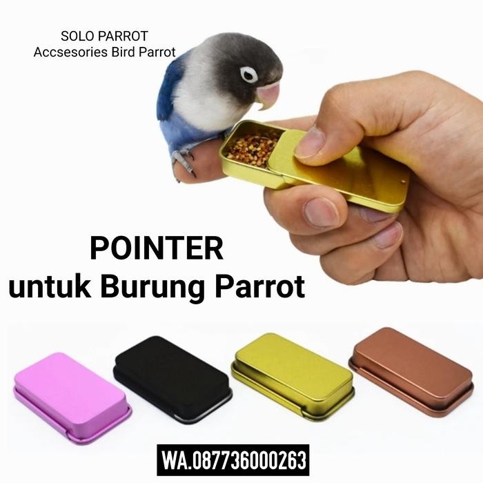 Pointer Burung