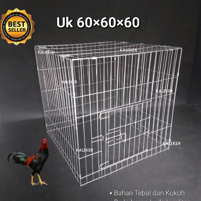 KANDANG UMBARAN AYAM PERSEGI GALVANIS 606060