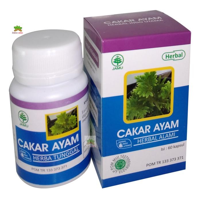 Obat Herbal Cakar Ayam