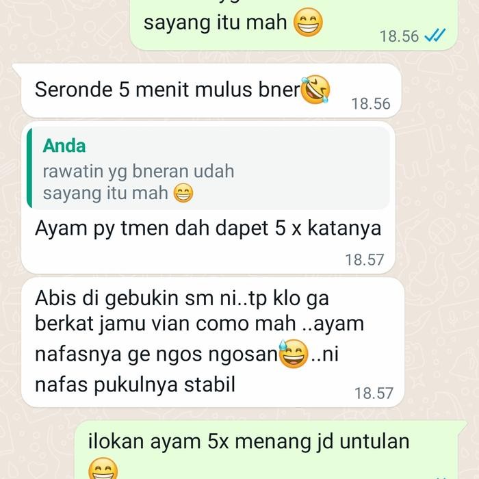 JAMU PYONGYANG JAMU AYAM AGRESIF