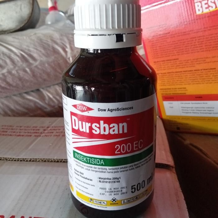 insektisida Dursban 500 ml