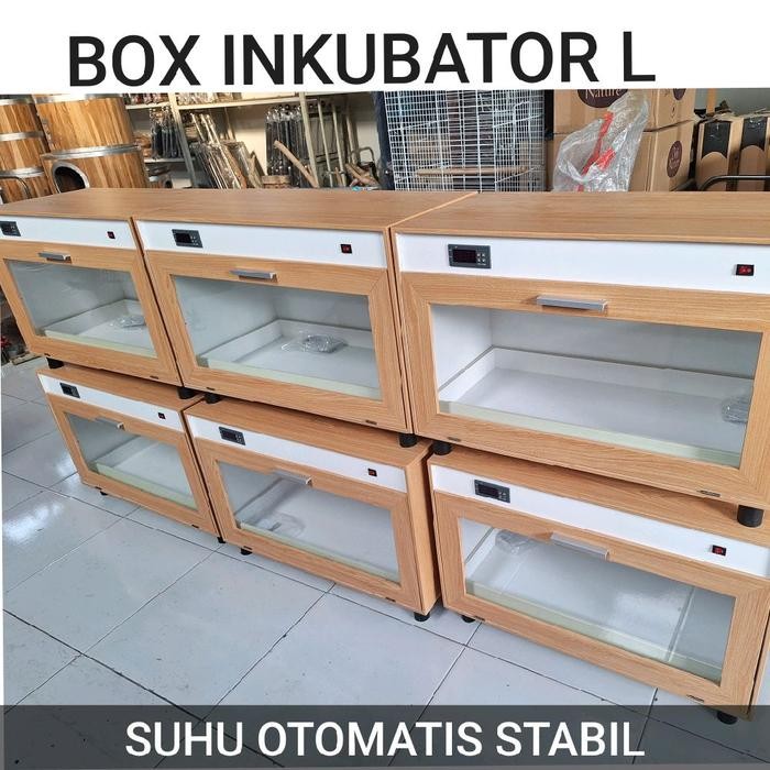 Inkubator Penghangat Anakan Burung Otomatis Lovebird Falk Kenari Cucak Rowo Murai Jalak Anakan