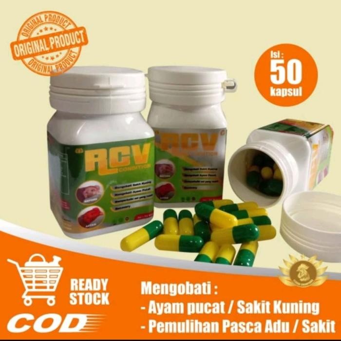 RCV CONDITION OBAT AYAM SAKIT KUNING PUCAT LEMAS LESU PEMULIHAN AYAM