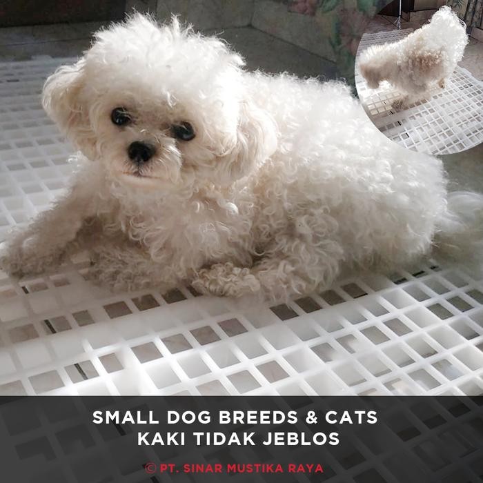 SLAT PLASTIK - PIJAKAN / ALAS KANDANG UNTUK ANJING KUCING KAMBING