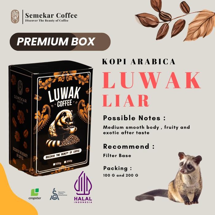 

Kopi Luwak liar Coffee Arabica premium Specialty Hampers Kado gift box set Robusta Hitam