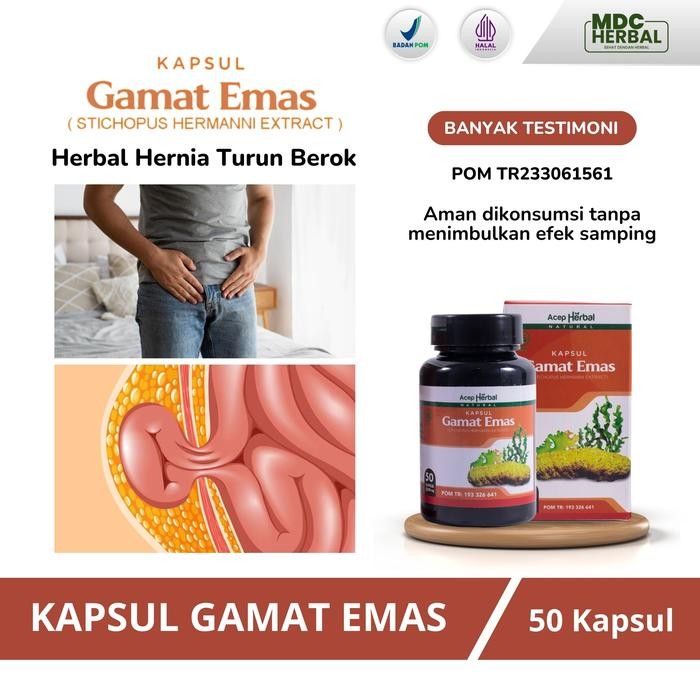 Herbal Hernia, Hernia Turun Berok, Hernia inguinalis, Hernia femoralis, Hernia umbilikus, Usus