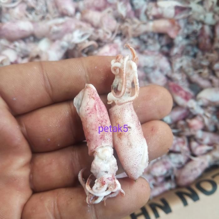 

Ikan Asin Beby Cumi 1Kg/Beby Cumi Asin/Cumi Asin Beby