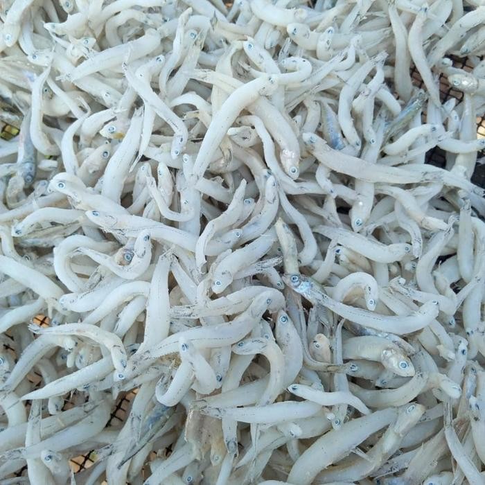 

Ikan Asin Teri Medan Kasar Toge Per 500Gr