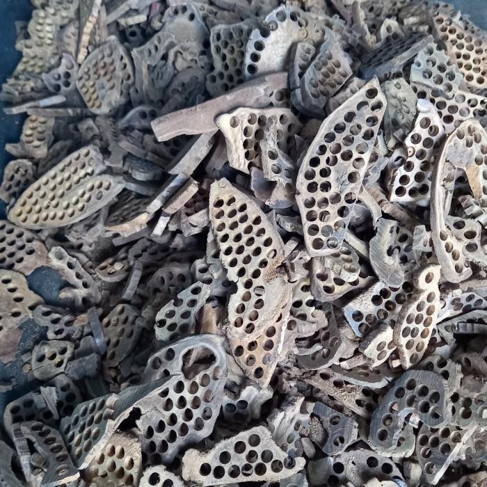 [Expert] Limbah kayu gaharu 1kg Kayu gaharu kayu gaharu asli kalimantan