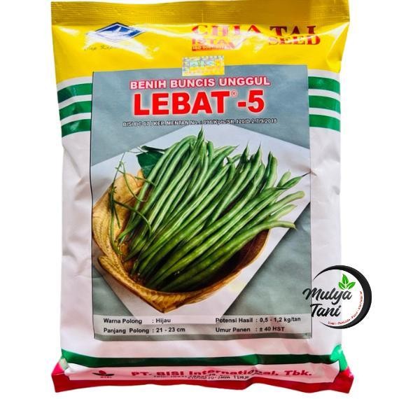 Terlaris Benih Buncis Lebat 5 500 Gram Cap Kapal Terbang